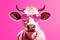 Cow Coolness: A Funky Bovine in Pink Shades