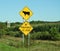 Cow Crossing country yellow road sign in NYS