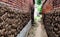 Cow Dung Cakes across a narrow street on brick walls