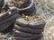 Cow dung close up. Livestock excrement. Organic fertilizer for gardening, manure