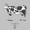 Cow engraved, hand drawn vector illustration in woodcut scratchboard style, vintage drawing species.