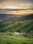 Cow farm in Lithgow west of Sydney