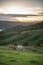 Cow farm in Lithgow west of Sydney