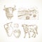 Cow Farm Products and Objects. Cattle, Milk, Cottage Cheese and Rustic Landscape Hand Drawn Vector Illustrations Set