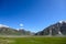 Cow field with snow mountain Himalaya