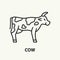 Cow flat line icon. Cattle breeding sign.