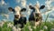 Cow in a flowering meadow. Cows in a pasture