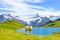 Cow in front of beautiful Bachalpsee in the Swiss Alps posing for pictures. Famous mountains Eiger, Jungfrau, and Monch in