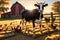 Cow Gazing Directly into the Camera Lens, Warm Sunset Casting Long Shadows Across the Textured Hay