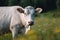 Cow grazes in a meadow and eats grass, animal and pet, illustration. Generative AI