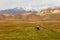 Cow grazes in a meadow near the mountains