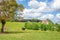 Cow grazing in a meadow, old manor in the background, French countryside landscape in Perche, France