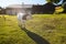 Cow grazing near farm