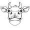 Cow head isolated on white background. Farm animal vector portrait. Fresh milk. Dairy farm. Butcher.