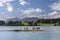 Cow herd on island in lake Forggensee