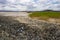 Cow hoofprints in the Black Mud at the salt lake.Concept of animal husbandry on dry lands. Environment