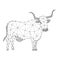 Cow with horns, an farm pet, from abstract futuristic polygonal black lines and dots. Low poly concept. Vector illustration