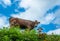 Cow on pasture in Ahorn, Appenzell, Switzerland