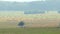 Cow pasture in hot summer haze, hay rolls on the field