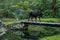 A cow quietly crosses a bridge over a stream. Common scenery in the interior