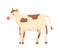 Cow Rustic, Livestock Domestic Animal Farming