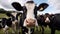 Cow\\\'s family taking a selfie generative AI