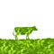 Cow silhouette graze in the field, landscape, grass, pasture. green background. Vector