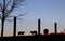 Cow Silouettes at Sunset on Rural Cattle Farm