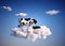 Cow sitting on a cloud in the sky . Dreaming and aspirations concept