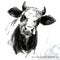 Cow sketch. breeding cow illustration. Animal husbandry. livestock. farm animal series.