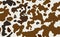 Cow skin in brown and white spotted, seamless pattern, animal texture
