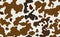Cow skin in brown and white spotted, seamless pattern, animal texture. Raster copy illustration