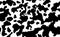 Cow skin texture, black and white spot repeated seamless pattern. Animal print dalmatian dog stains