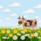 Cow, Spring landscape, fields, meadows, daisies and dandelions