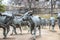 Cow stampede statue in a park