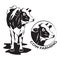 Cow stylized symbol and cow head portrait, farm animal