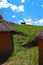 Cow in a traditional Lesotho village