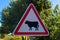 Cow traffic european sign, Close up