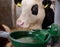 Cow with watering bowl