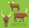Cow Watusi Cartoon Vector Illustration