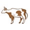 Cow white with brown spots hand drawn icon. Cattle. Domestic animal. Dairy farm. Livestock.