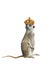 Cowardly meerkat standing royal crown isolated on a white