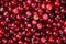 Cowberry cranberry texture