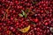 Cowberry cranberry texture