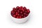 Cowberry (foxberry,lingonberry)