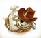 Cowboy Adventure. Game logo. 3d vector