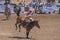 Cowboy on brown bucking horse at Rodeo Santa Maria, CA, USA