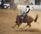 Cowboy on a bucking bronco