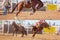 Cowboy And Bucking Saddle Bronco Collage