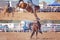 Cowboy And Bucking Saddle Bronco Collage